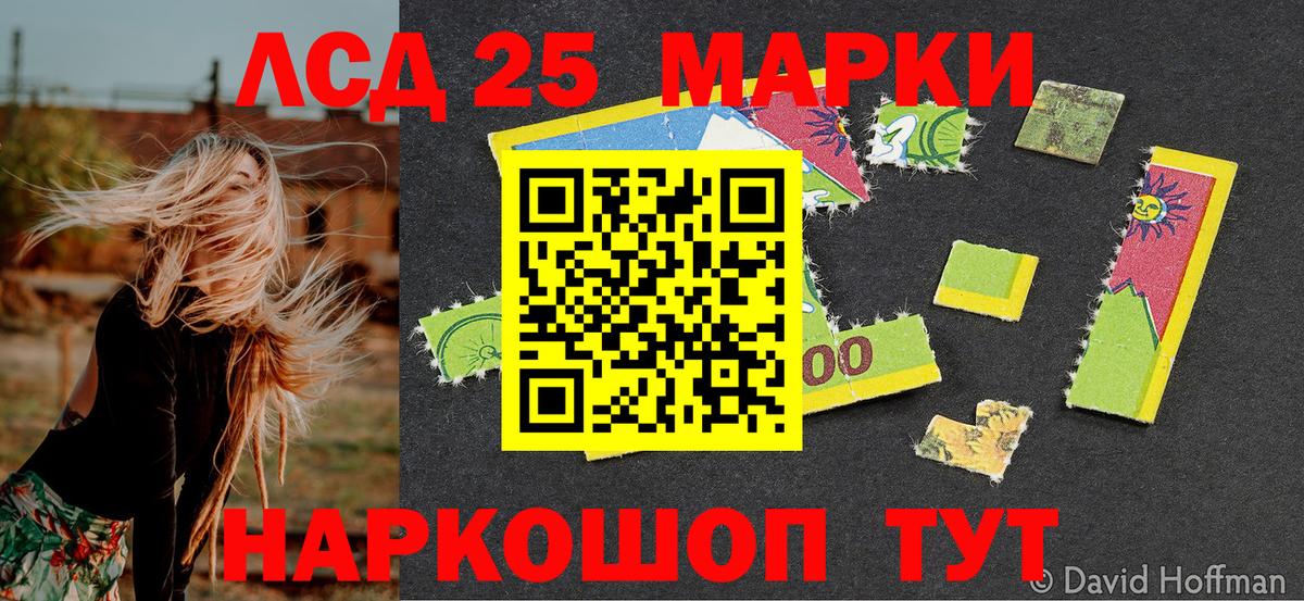 Галлюциногенные грибы Воркута
